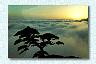 huangshan1.jpg